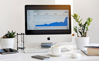 埃及赛制解析：本土赛事如何影响国际大赛表现，埃及联赛